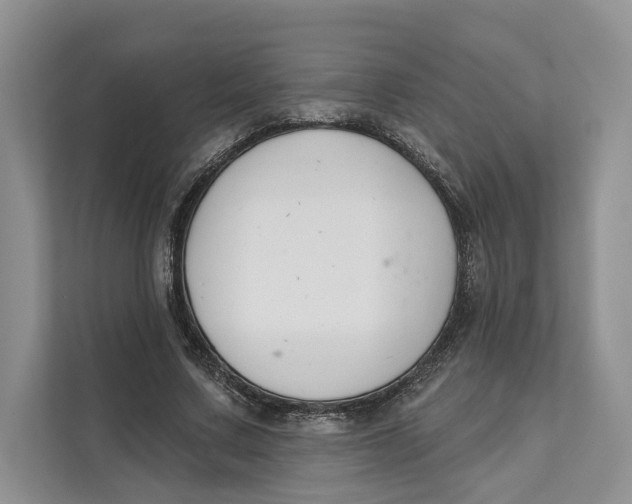 X0000111610683200908071331