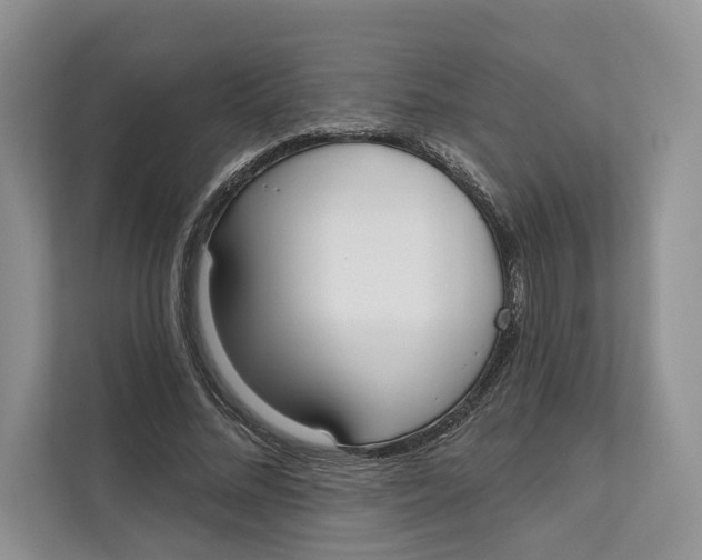 X0000111610684200908071331