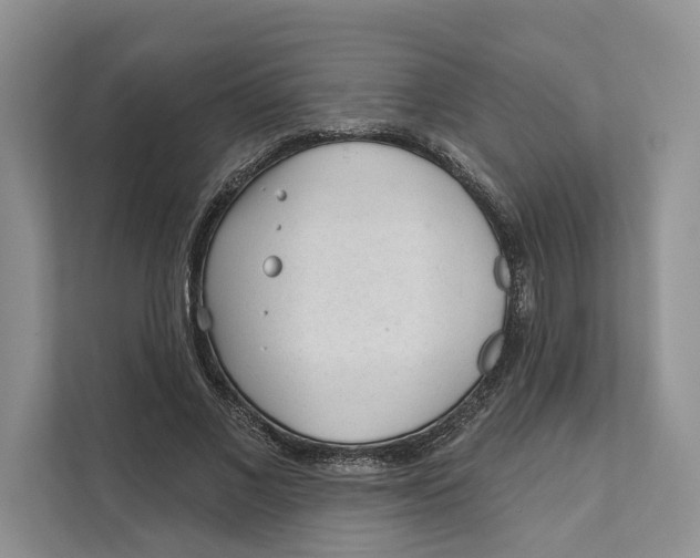 X0000111610685200908071331