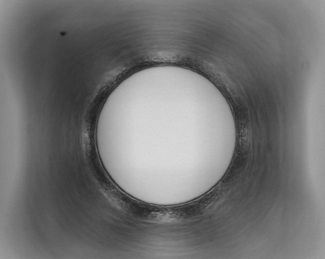 X0000111610688200908071331