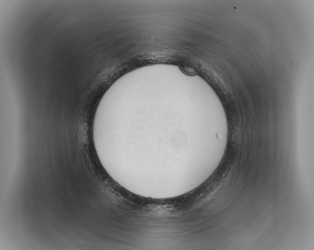 X0000111610689200908071331