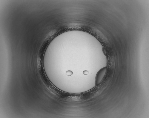 X0000111610692200908071331