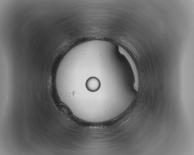 X0000111610693200908071331