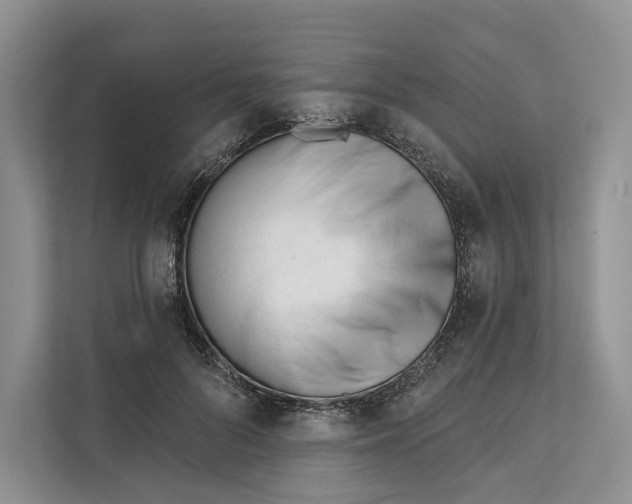 X0000111610696200908071331