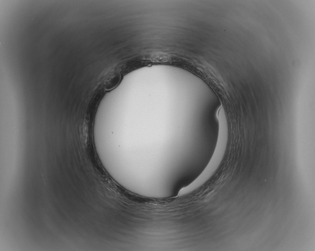 X0000111610697200908071331