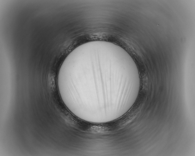 X0000111610699200908071331