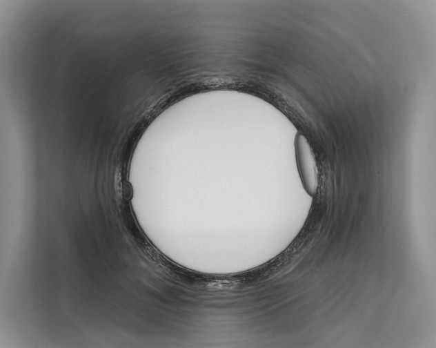 X0000111610700200908071331