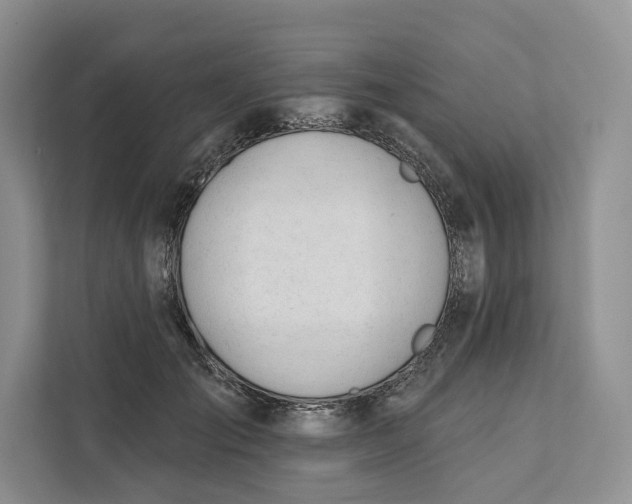 X0000111610701200908071331