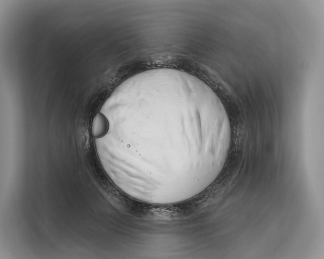 X0000111610703200908071331