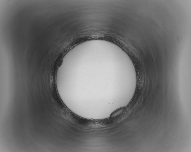 X0000111610704200908071331