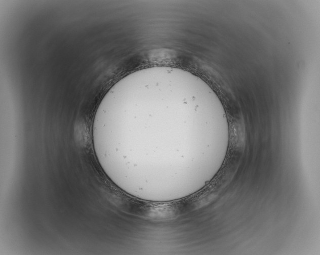 X0000111610705200908071331