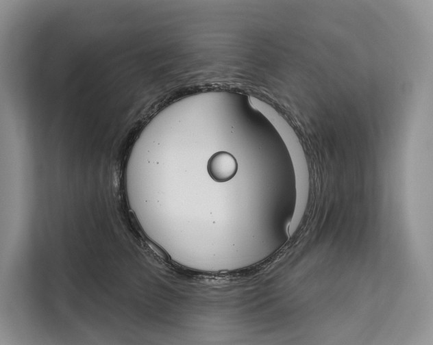 X0000111610709200908071331