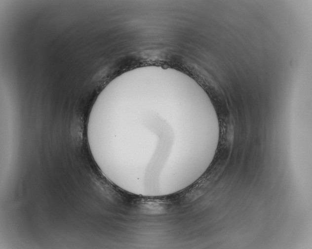 X0000111610710200908071331