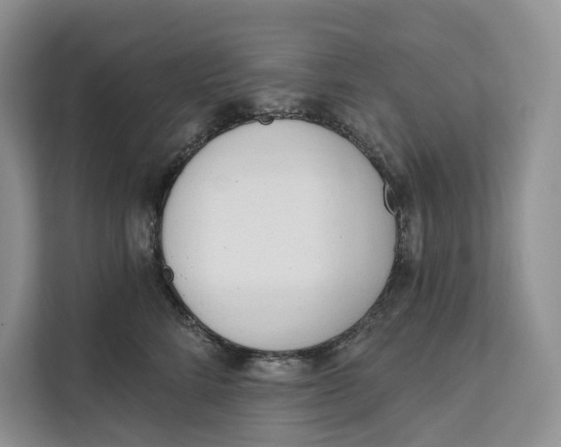 X0000111610712200908071331