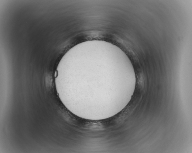 X0000111610715200908071331