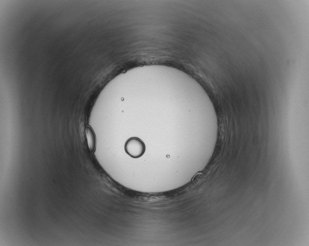 X0000111610716200908071331