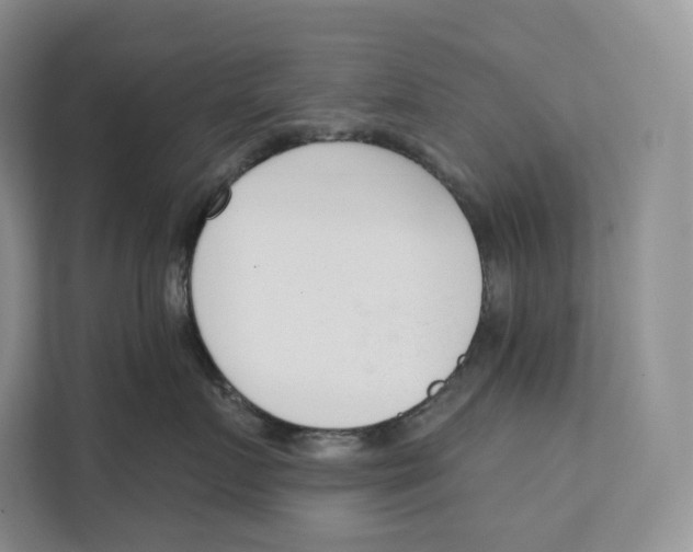 X0000111610719200908071331