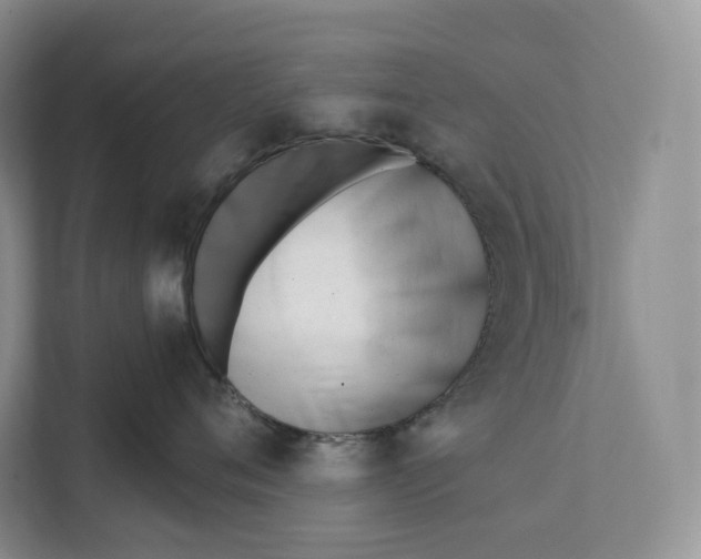 X0000111610720200908071331