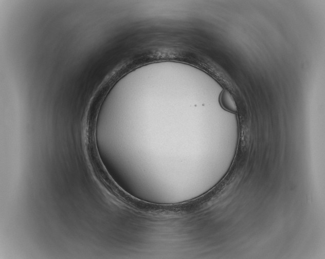 X0000111610722200908071330