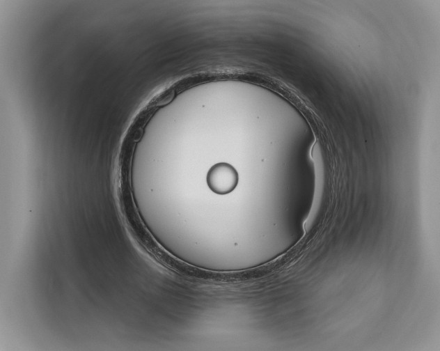 X0000111610726200908071330