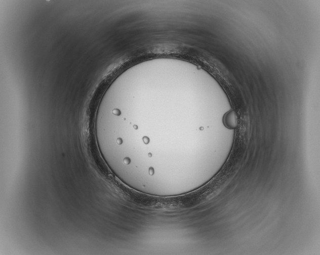 X0000111610727200908071330