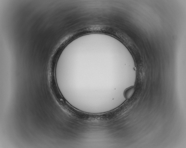 X0000111610728200908071330