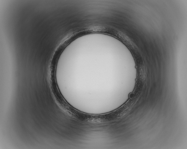 X0000111610730200908071330