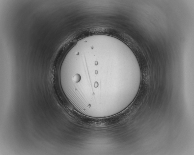 X0000111610735200908071330