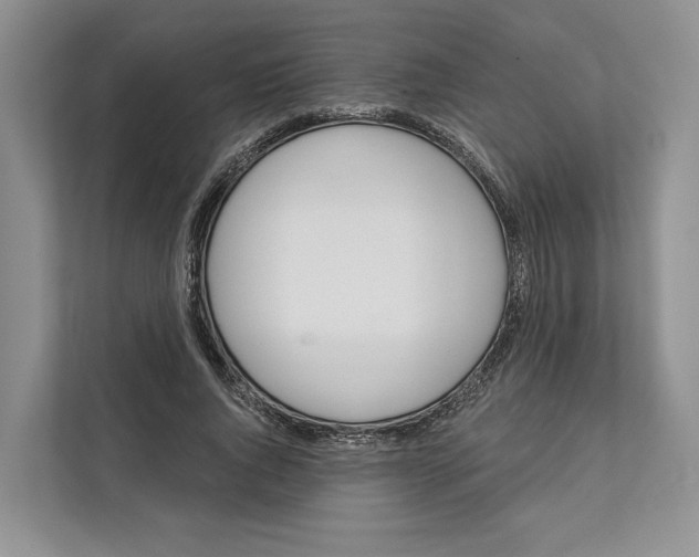 X0000111610736200908071330