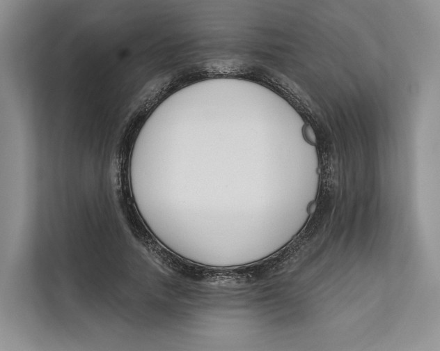 X0000111610738200908071330