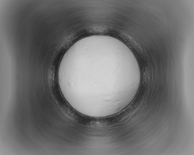 X0000111610739200908071330