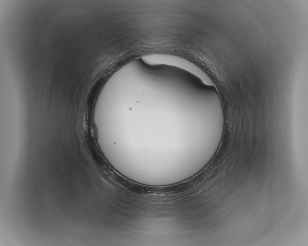 X0000111610740200908071330