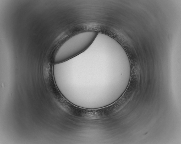 X0000111610744200908071330