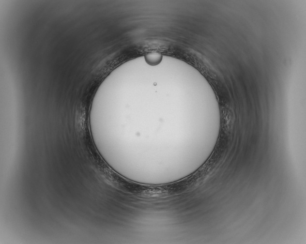 X0000111610745200908071330