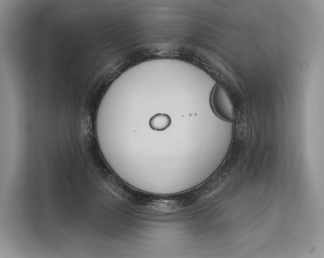 X0000111610748200908071330