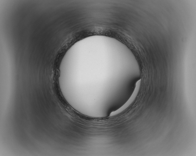 X0000111610750200908071330