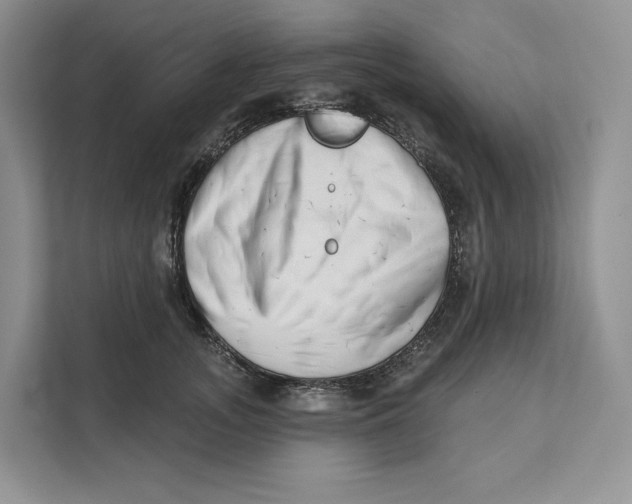 X0000111610755200908071330