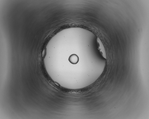 X0000111610756200908071330