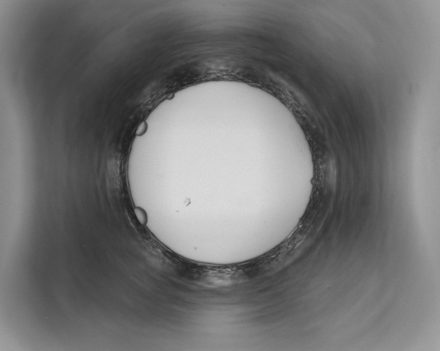 X0000111610757200908071330