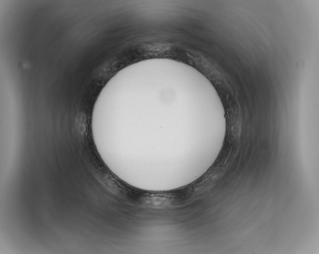 X0000111610758200908071330