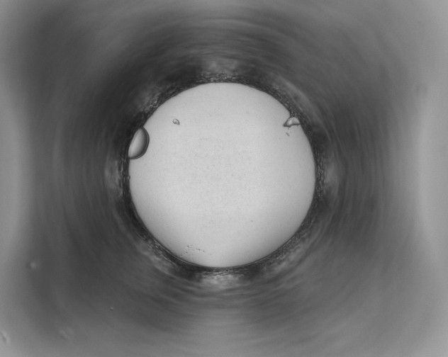 X0000111610759200908071330