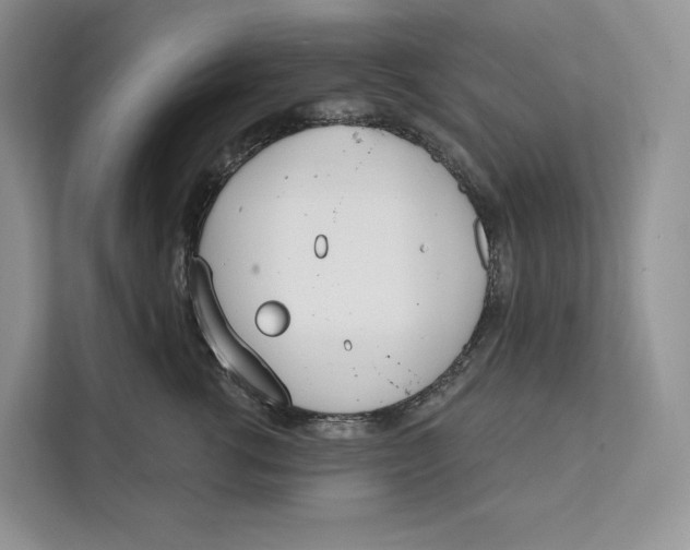 X0000111610762200908071330