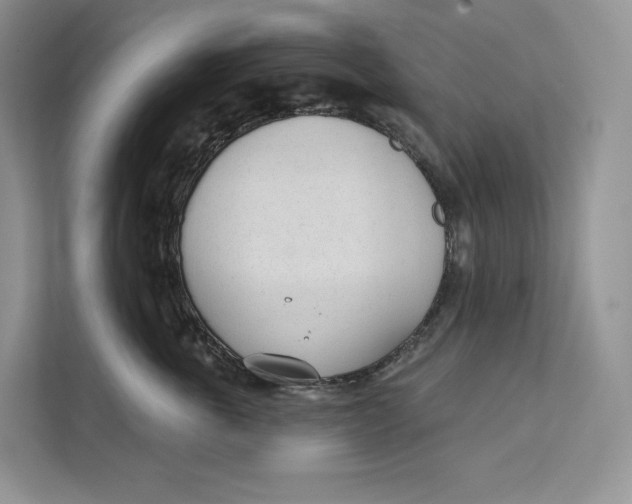 X0000111610763200908071330