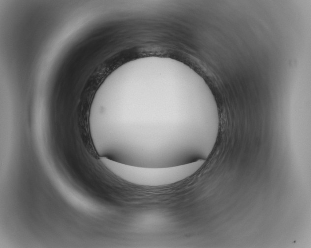 X0000111610764200908071330