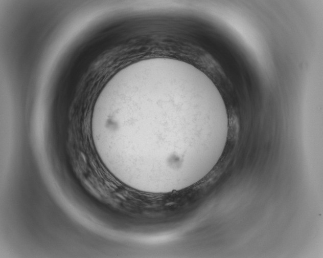 X0000111610765200908071330