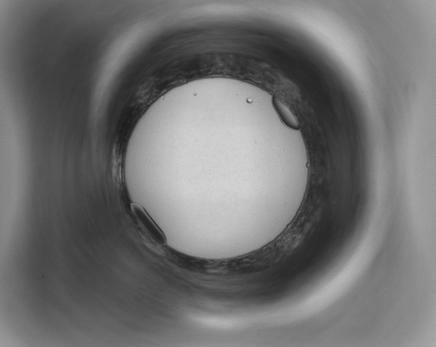 X0000111610766200908071330