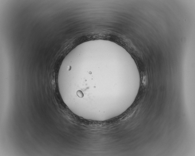 X0000111610771200908071330