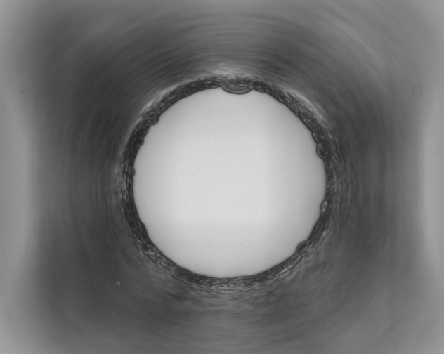 X0000111610776200908071330