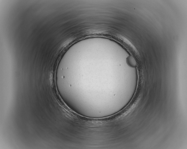 X0000111610777200908071330