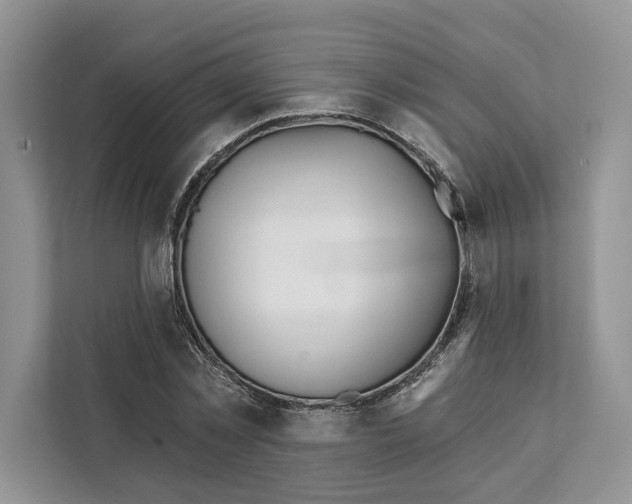 X0000111610781200908071330